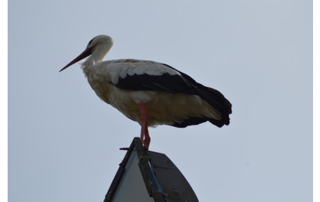 samedi 3 septembre 2016