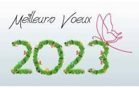 MEILLEURS VOEUX